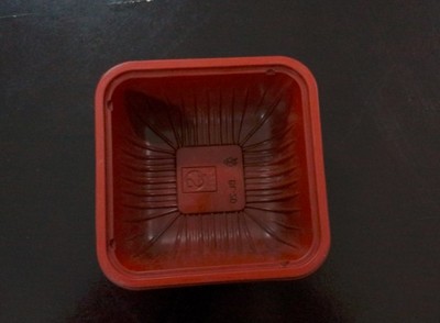 新忠盛吸塑制品廠(chǎng) 以專(zhuān)業(yè)制造，塑世界精彩